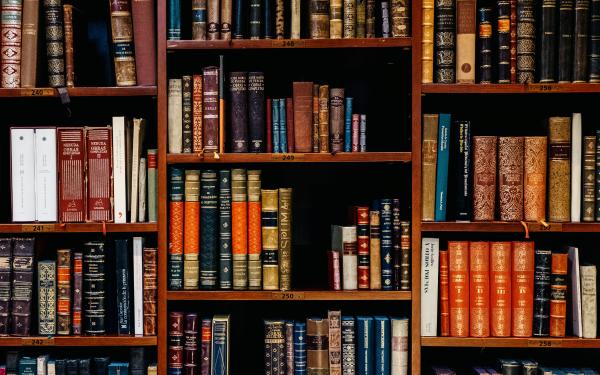 Books on bookshelves